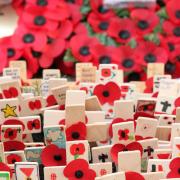 Photograph by Hattie Miles ... 09.11.2014 ... HM091114HighRemem ...Highcliffe Remembrance Sunday ceremony at Highcliffe War Memorial  ... Individually named and decorated crosses which were placed by local children..