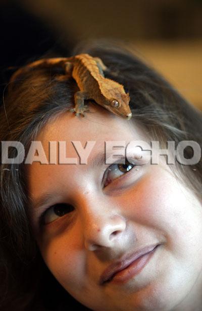 Poole High School, animal Club member India Deacon (13) with Rusty the Crested Gecko. 