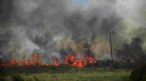 The blaze on the heath last year