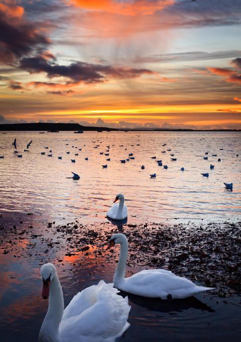 All the pictures from the Christchurch section of the book. It was a pretty ordinary day but the clouds were perfectly placed for an amazing sunset when I visited Mudeford with my wife and one-year-old daughter Lucy. By Richard Swainson.