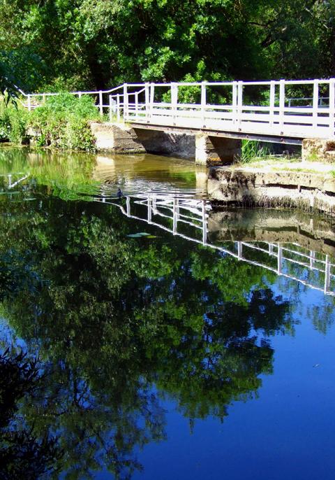 Perfect reflections in the mill pond at Sturminster Newton, by Anne Mitchell 