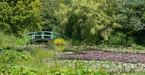 Bridge and lilies at Bennetts’ Water Garden, Weymouth. Taken by Dennis Waite. 