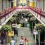 One of the city's picturesque arcades