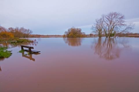 The River Stour between Redhill and Throop, by Mark Brazier