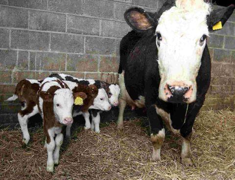 Proud mum and her offspring
