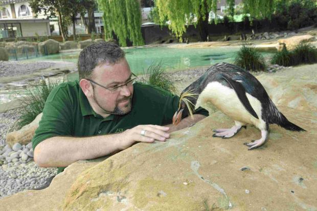 P-P-P-PENGUIN: Stars of The Zoo, Adrian Walls and Ricky the rockhopper penguin