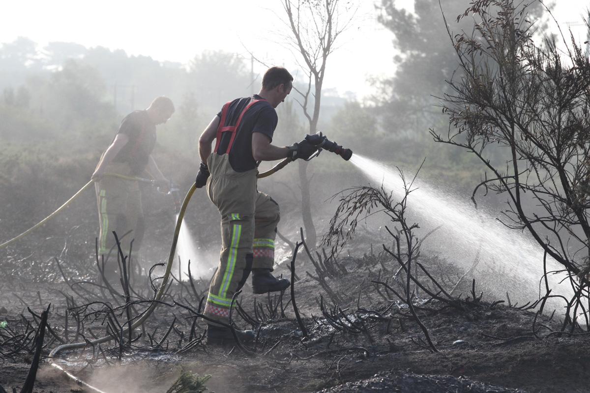Firefighters battled a huge blazes at Canford Heath after arsonists set fires at several locations