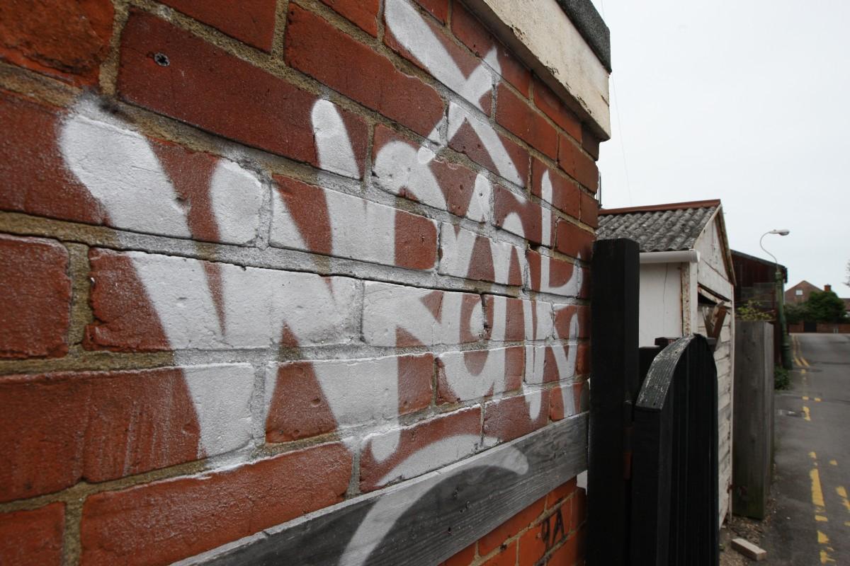 Vandals went on a graffiti spree resulting in more than 77 walls, trees, fences and vehicles being sprayed with paint in Southbourne. 