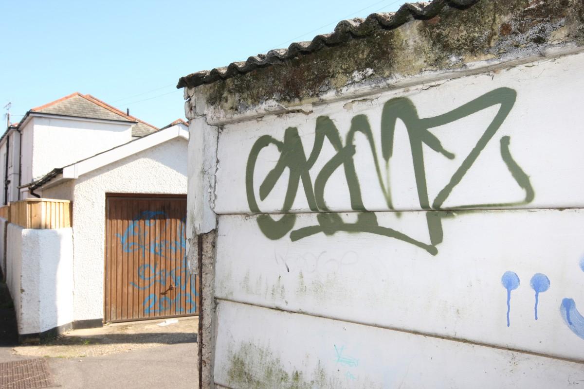 Vandals went on a graffiti spree resulting in more than 77 walls, trees, fences and vehicles being sprayed with paint in Southbourne. 