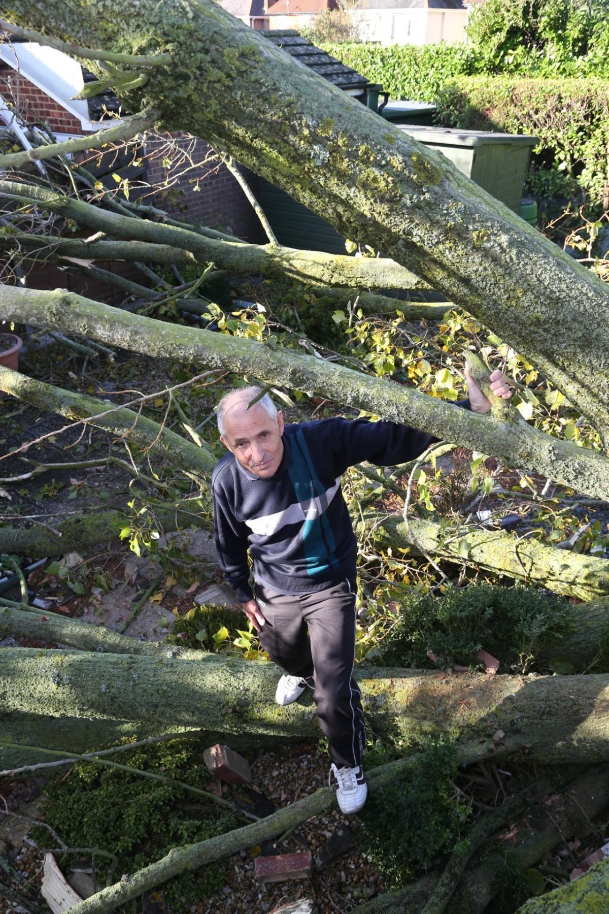 See all Daily Echo and reader pictures of damage left behind after St Jude hits Dorset. 