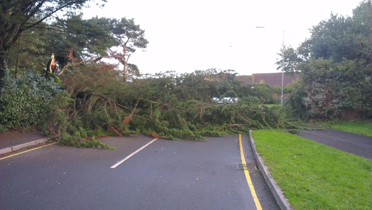 See all Daily Echo and reader pictures of damage left behind after St Jude hits Dorset. Purchase Road, Talbot Village. Picture by Ian Addis.