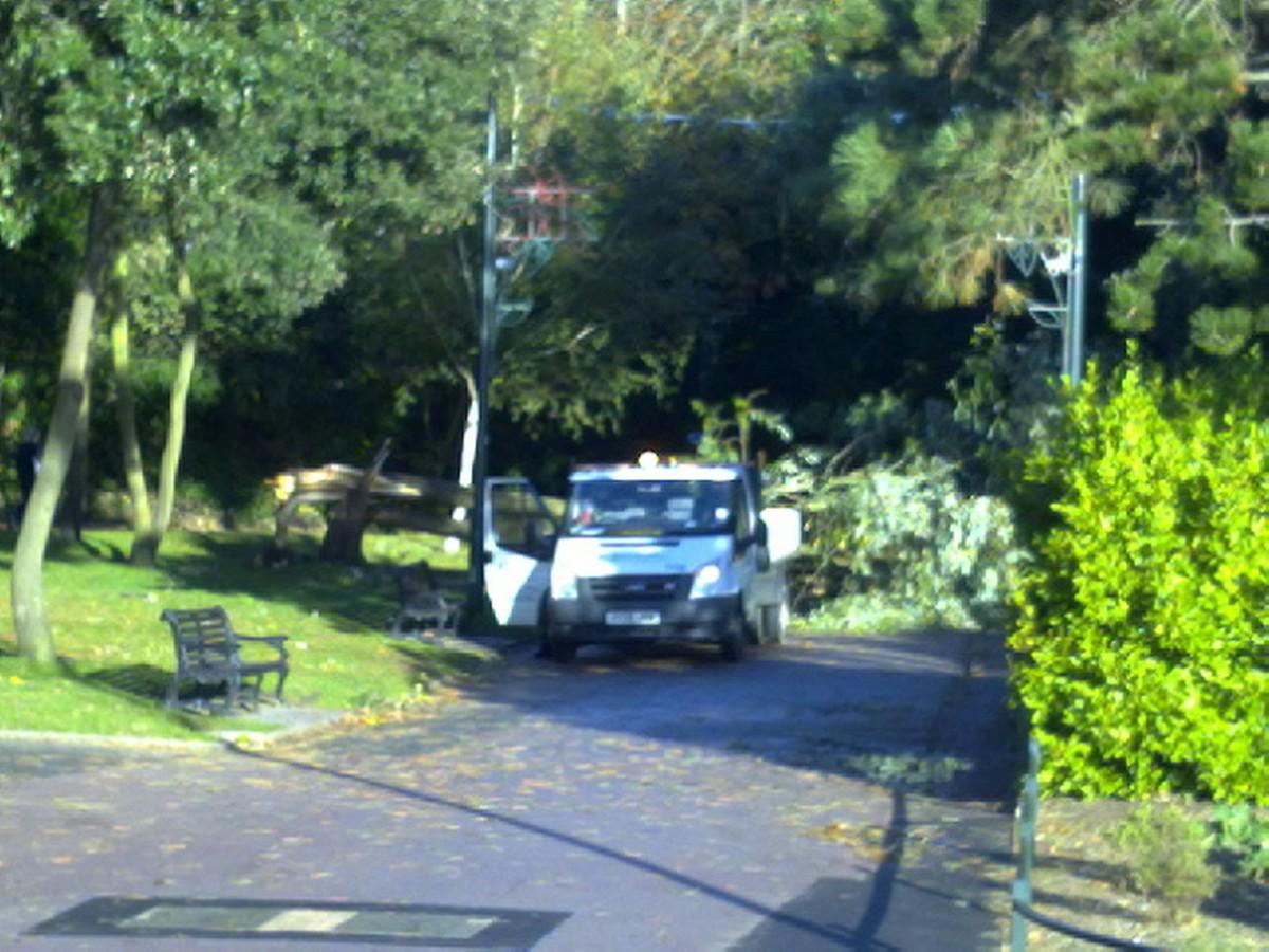 See all Daily Echo and reader pictures of damage left behind after St Jude hits Dorset. Council workers tend a tree which came down in Bournemouth's Lower Gardens.