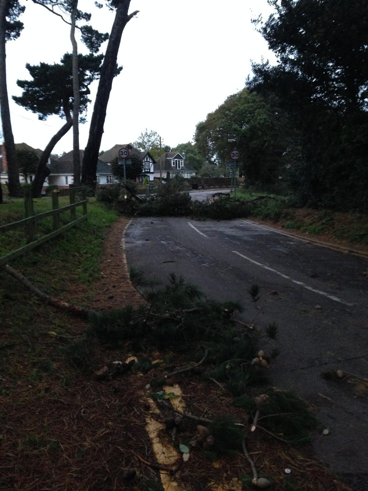 See all Daily Echo and reader pictures of damage left behind after St Jude hits Dorset. Wick Lane is blocked by fallen trees. Picture by Stuart Cockram.