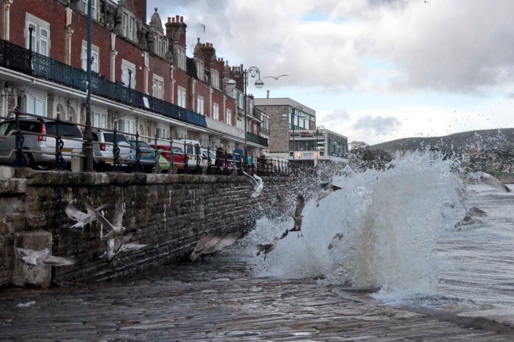 See all Daily Echo and reader pictures of damage left behind after St Jude hits Dorset. Seagulls enjoying the stormy weather in Swanage.