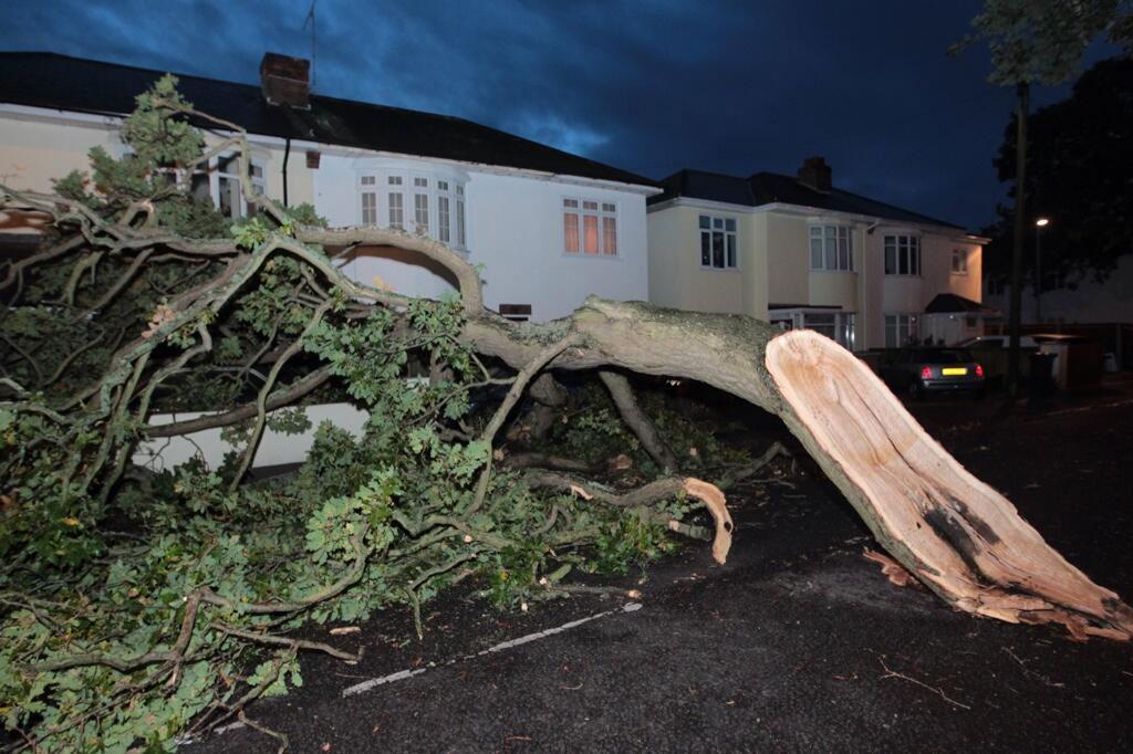 See all Daily Echo and reader pictures of damage left behind after St Jude hits Dorset. Huge tree branch destroys 2 cars at The Grove in Christchurch