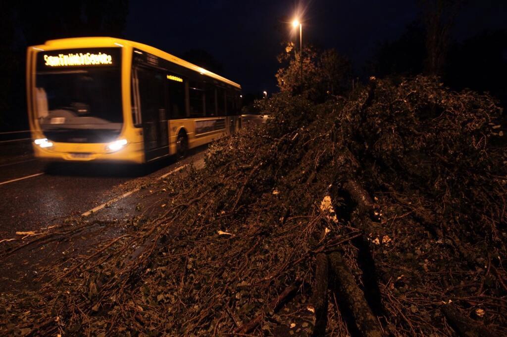 See all Daily Echo and reader pictures of damage left behind after St Jude hits Dorset. A large amount of tree debris on the side of Barrack Road in Christchurch.