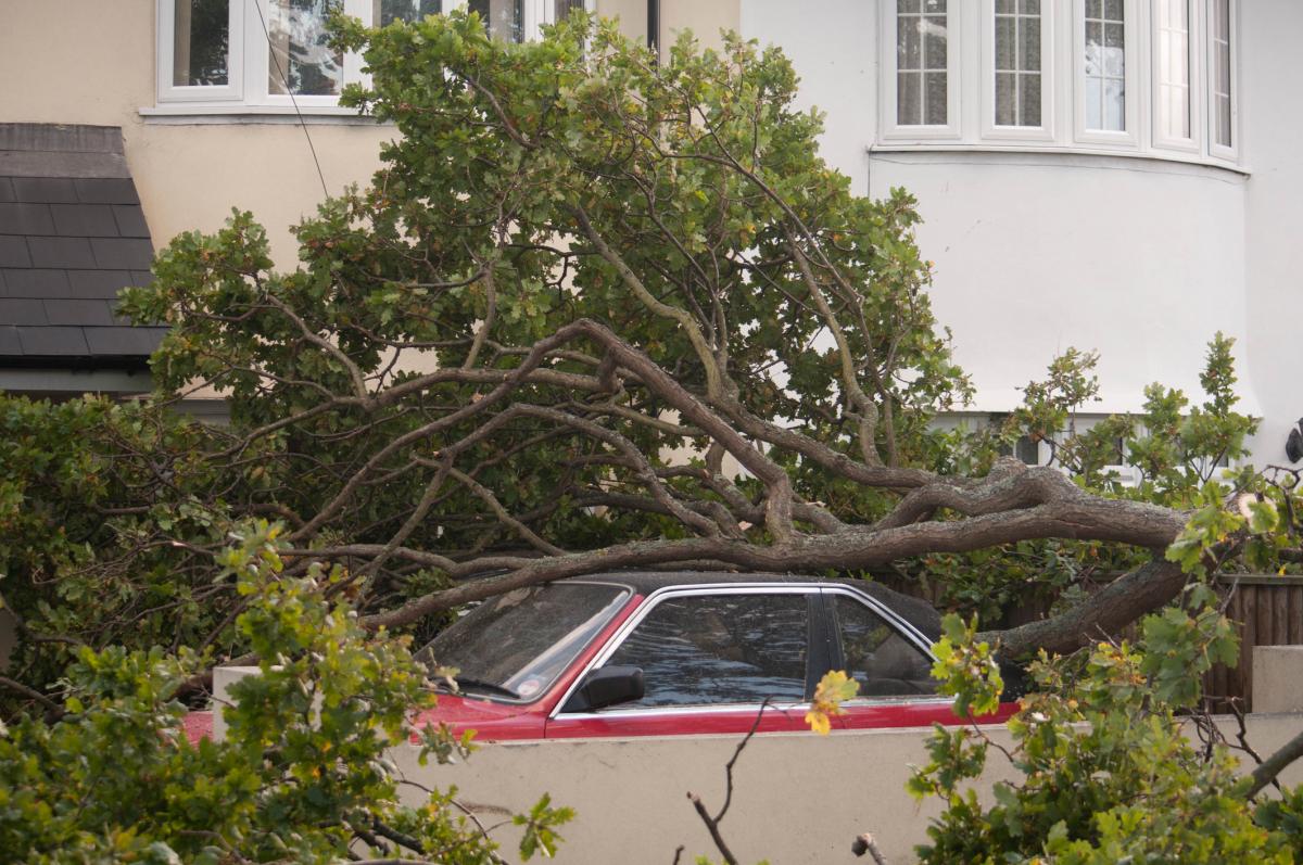 See all Daily Echo and reader pictures of damage left behind after St Jude hits Dorset. A tree comes down on a car in Grove Road in Christchurch. Picture by Andy Starmore.