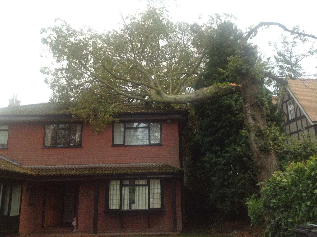 See all Daily Echo and reader pictures of damage left behind after St Jude hits Dorset. A tree came down on a house in Cavendish Road. Picture by Elissa Rubins.