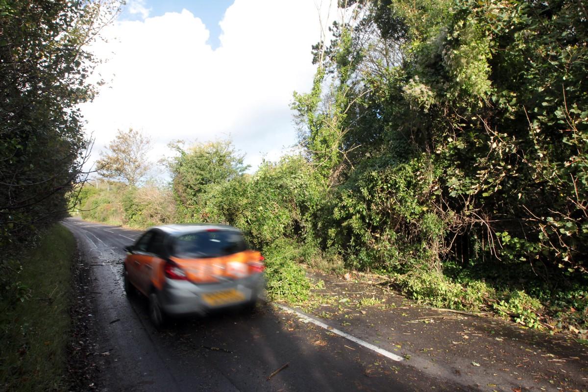 See all Daily Echo and reader pictures of damage left behind after St Jude hits Dorset. 