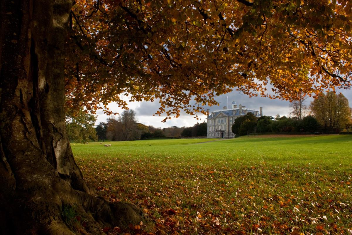 Late autumn colour at Kingston Lacy House taken by Kevin Westmancott