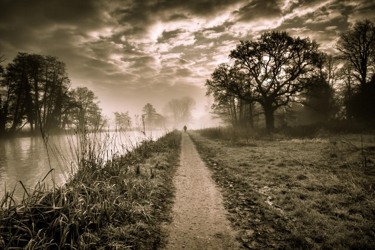 “Misty Walker”, which was taken by the river at Canford School by Michael Batten