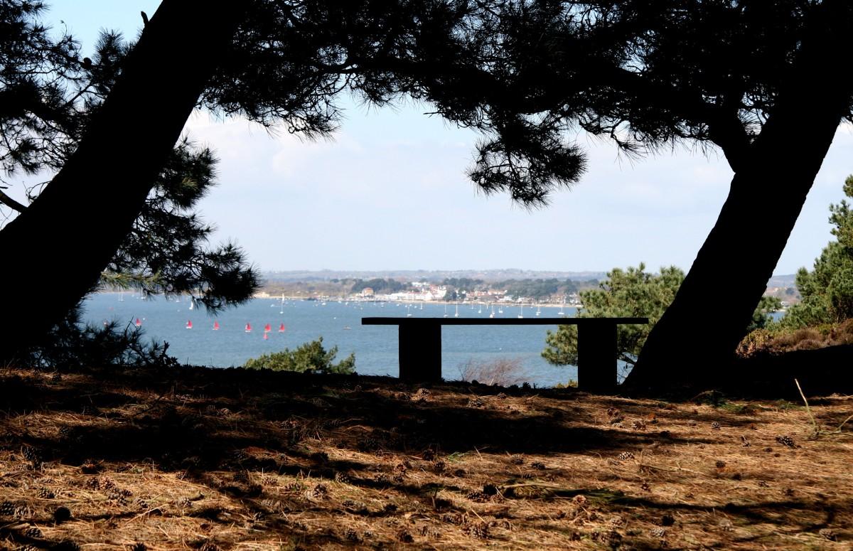 View across Poole Harbour from Brownsea Island taken by David Faulkner