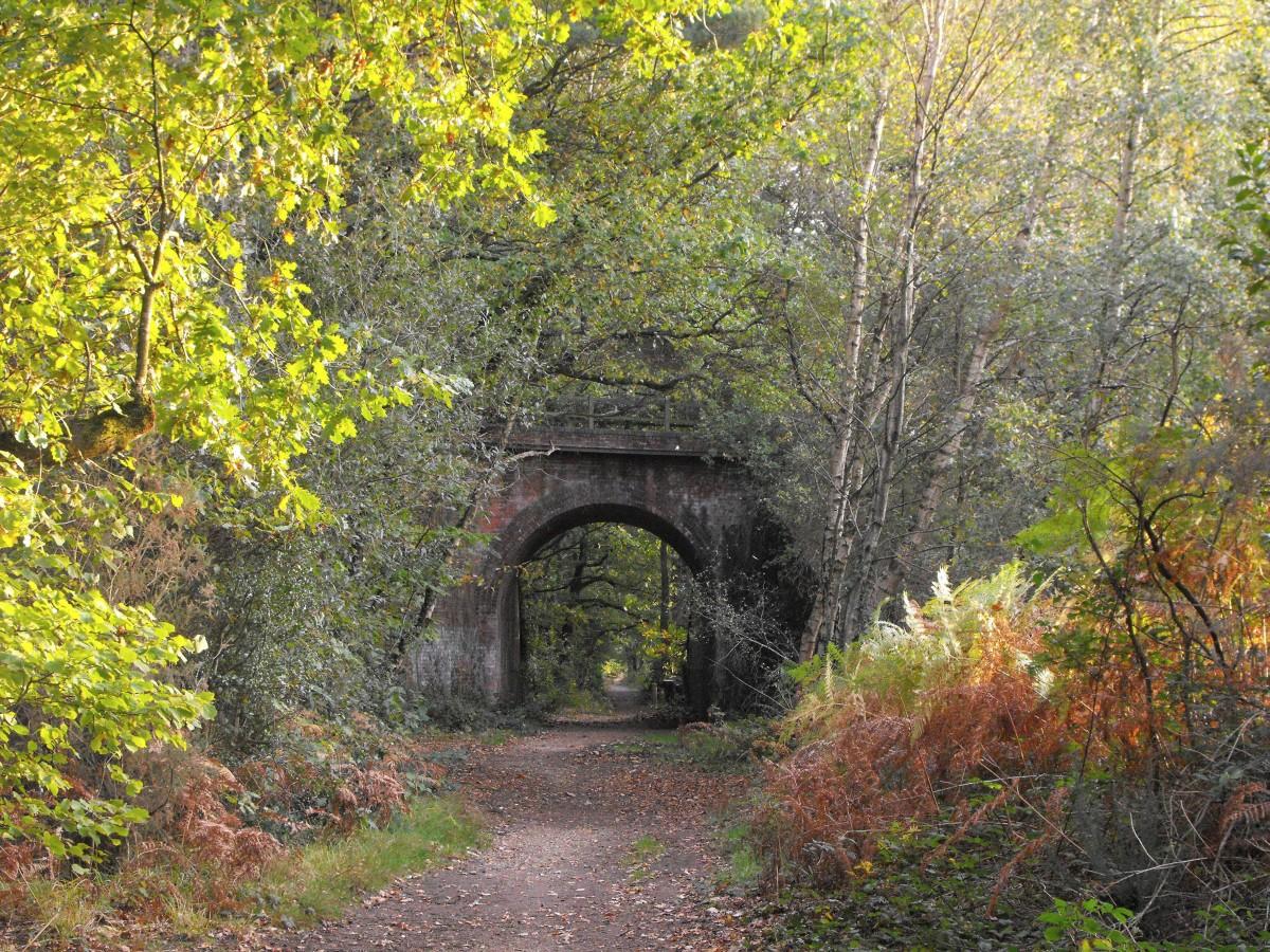 The old railway bridge at Creekmore by  Annie chambers 