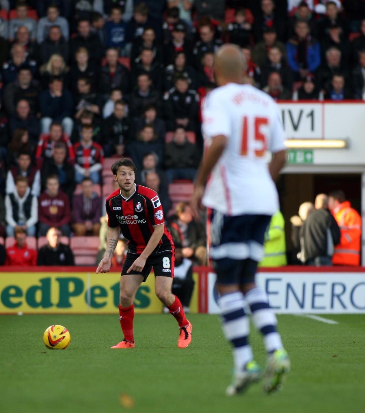 All our pictures of AFC Bournemouth v Bolton Wanderers at the Goldsands Stadium on Saturday, 2nd November, 2013