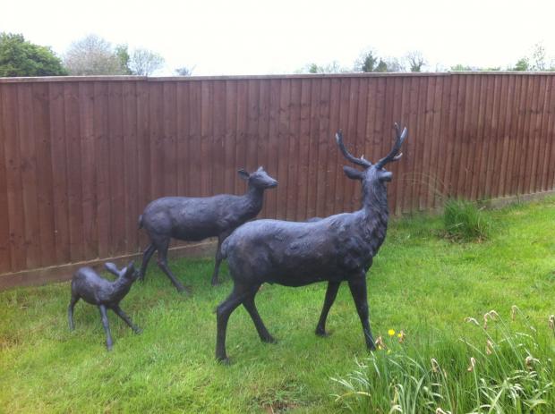 The deer statues that were stolen.