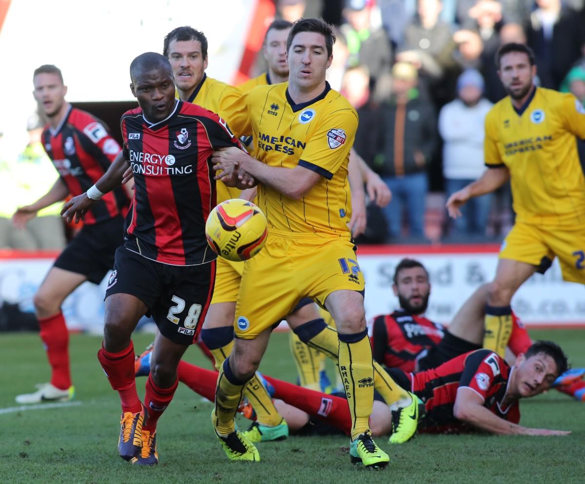 All our pictures from AFC Bournemouth v Brighton and Hove Albion at Goldsands Stadium on November 30, 2013
