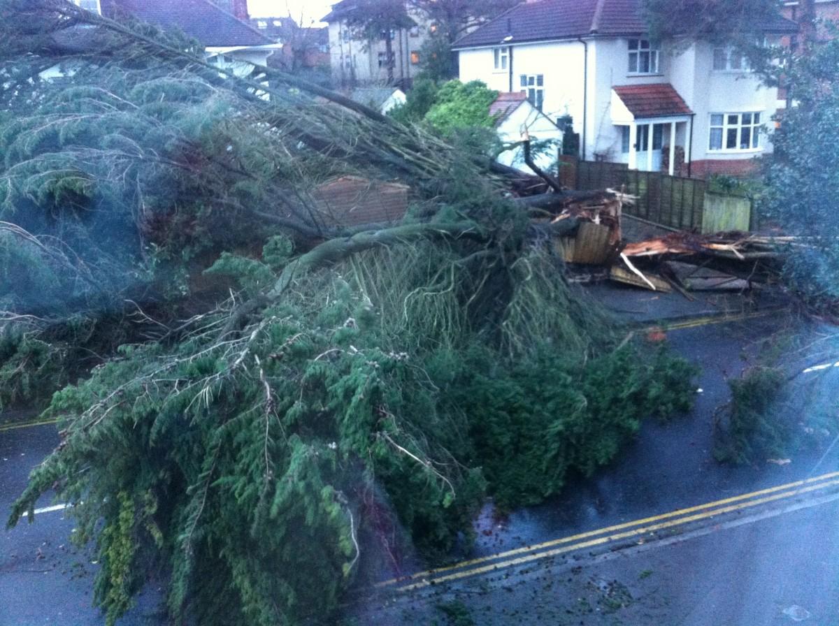 Pictures taken by Daily Echo photographers and readers after heavy rain and strong winds hit Dorset on December 23 and 24, 2013. Picture of a tree down in Kingsbridge Road in Ashley Cross /Penn Hill by Katie. 


