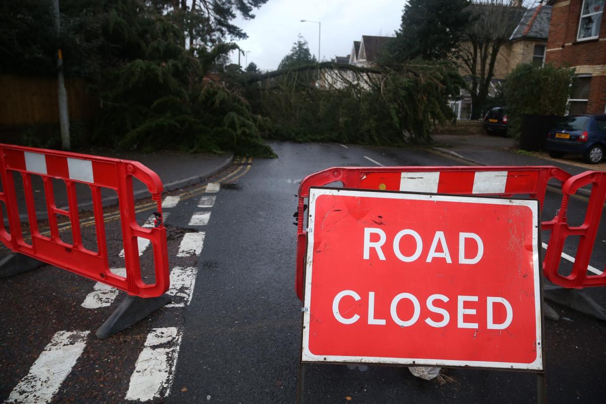 Pictures taken by Daily Echo photographers and readers after heavy rain and strong winds hit Dorset on December 23 and 24, 2013. Tree down in Penn Hill Avenue