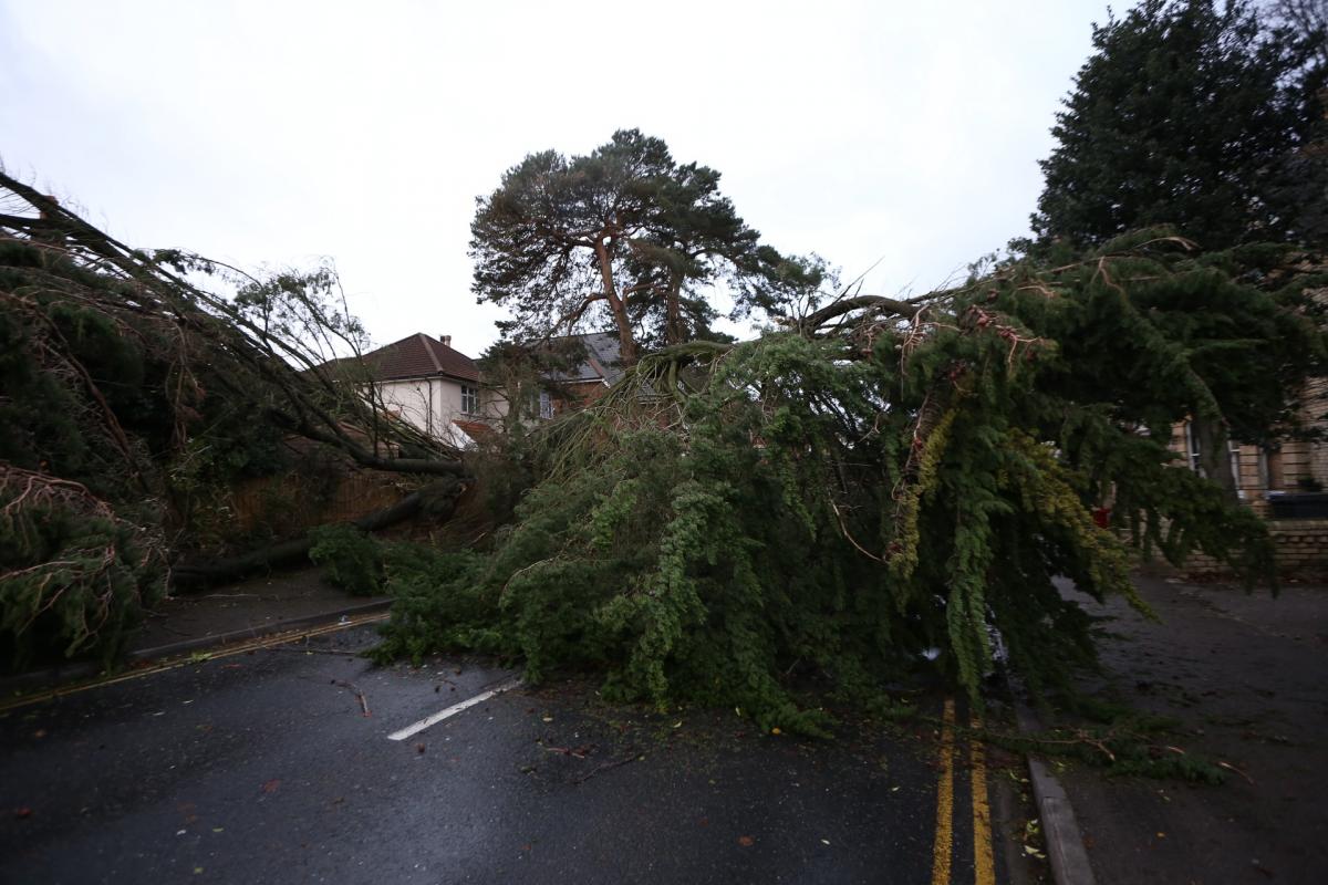 Pictures taken by Daily Echo photographers and readers after heavy rain and strong winds hit Dorset on December 23 and 24, 2013. Tree down in Penn Hill Avenue, Poole