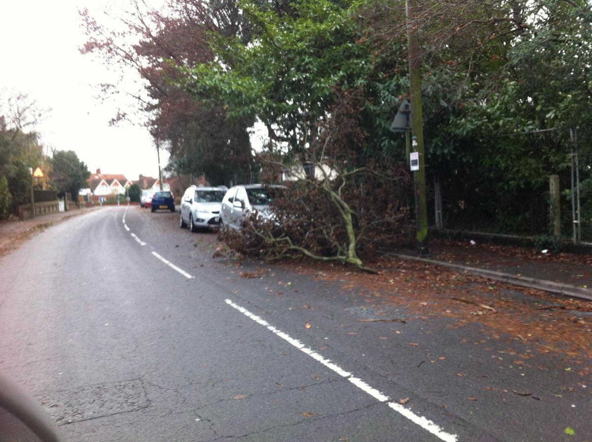 Pictures taken by Daily Echo photographers and readers after heavy rain and strong winds hit Dorset on December 23 and 24, 2013. A tree down on Alexandra Road in Parkstone,  Poole