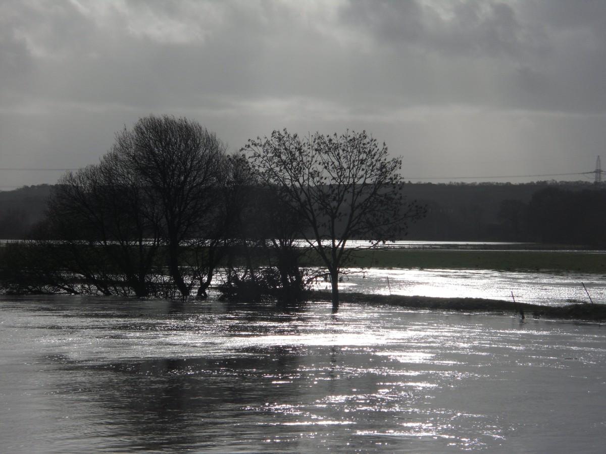 Pictures taken by Daily Echo photographers and readers after heavy rain and strong winds hit Dorset on December 23 and 24, 2013. The swollen River Stour at White Mill in Sturminster Marshall. Picture by Matt Spraggs.