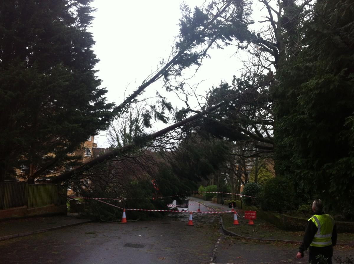 Pictures taken by Daily Echo photographers and readers after heavy rain and strong winds hit Dorset on December 23 and 24, 2013. A tree being cleared on St Valerie Road. Picture by Bournemouth Council. 