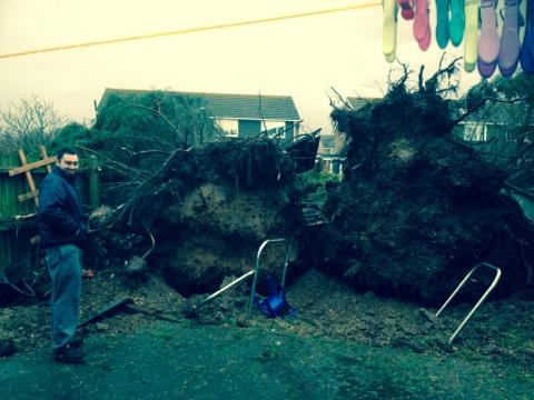 Heavy rain and strong winds cause flooding and high tides across Dorset. See Daily Echo photographer and reader pictures. Trees approx. 100ft tall stood/planted mid 70's struck by lightning in Curlew Road, Mudeford. Picture: Kerry Goldie