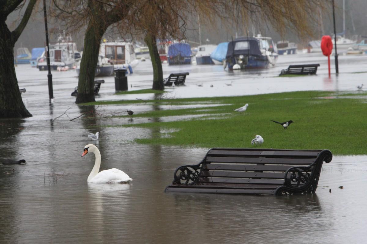 Heavy rain and strong winds cause flooding and high tides across Dorset. Flooding and High Tide in Christchurch