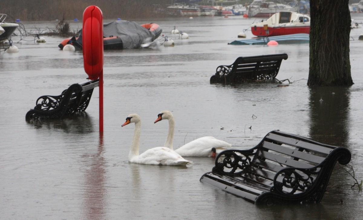 Heavy rain and strong winds cause flooding and high tides across Dorset. Flooding and High Tide in Christchurch