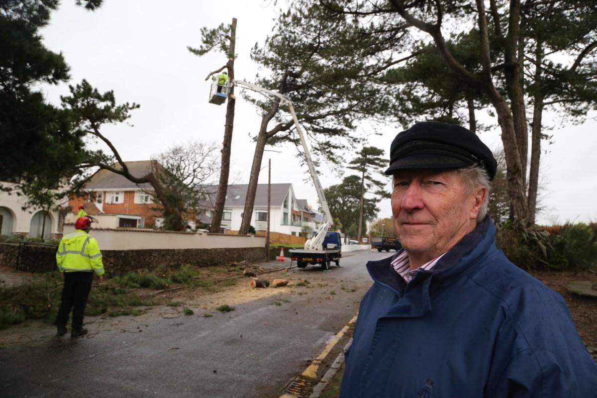 Tree surgeons remove a pine tree in Wharncliffe Road, Highcliffe after it was deemed unsafe. Pictured: Householder Roy Osborne 