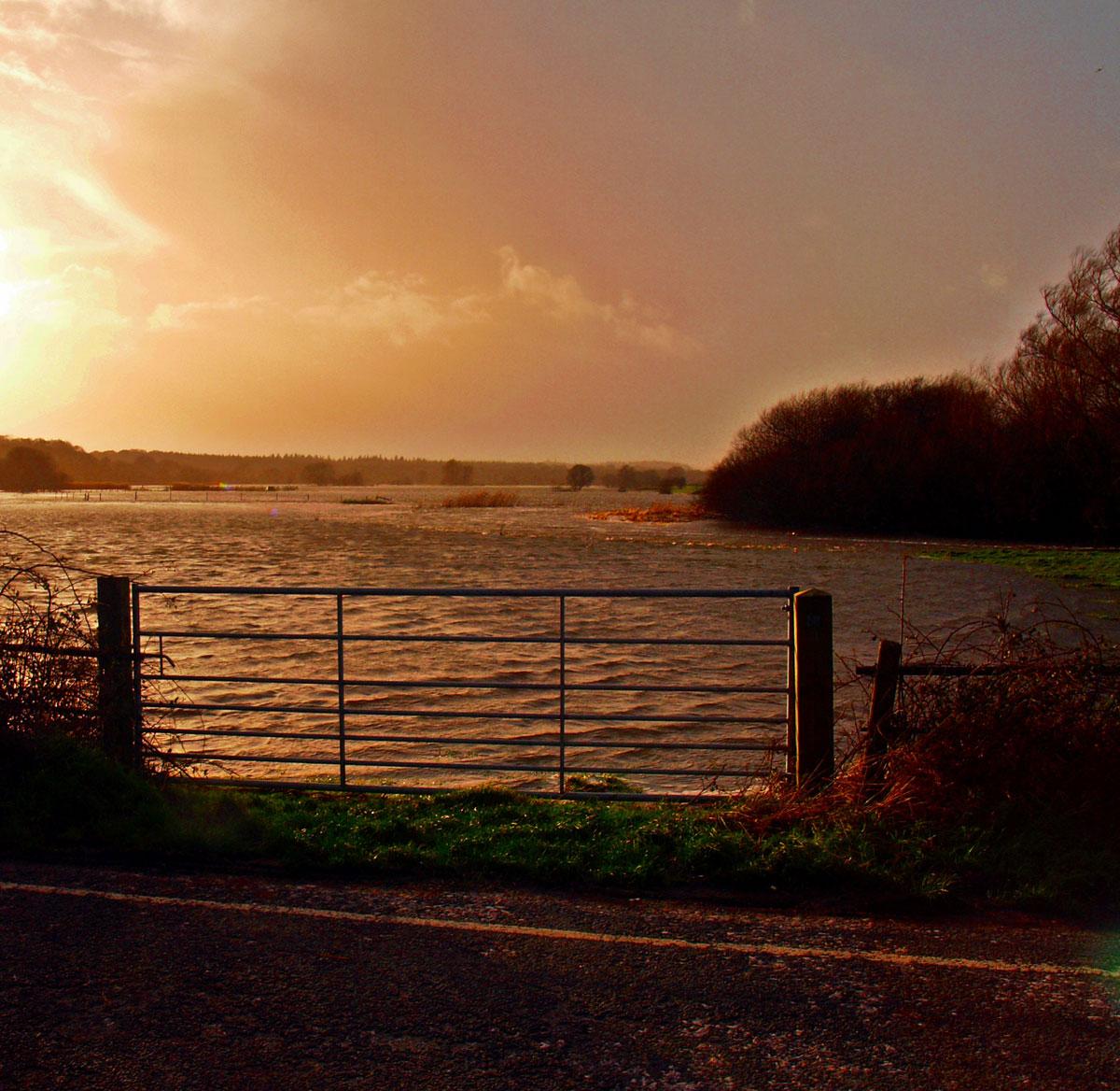 Daily Echo photographers and readers braved the stormy weather to capture these moments across Dorset. The River Frome at East Stoke on January 6, 2014 by Mike Streeter