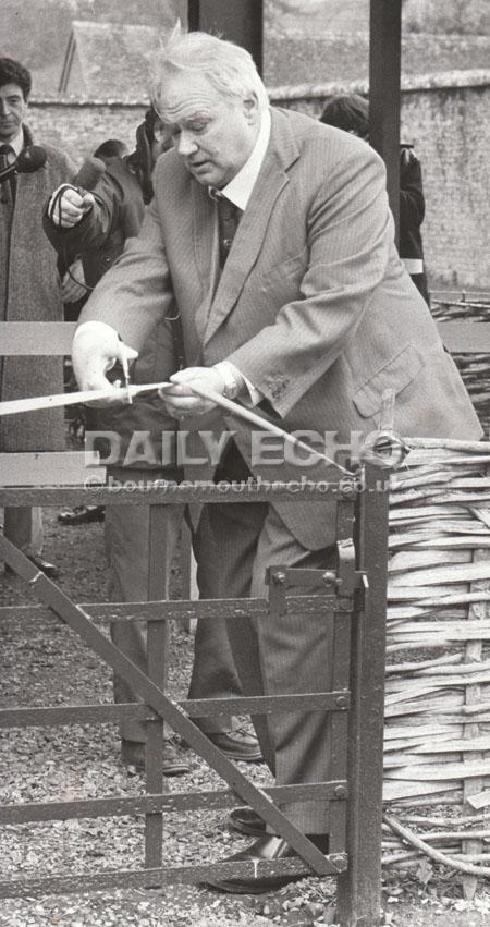 In 1984 top TV astronomer Patrick Moore opened the maze at Breamore House.