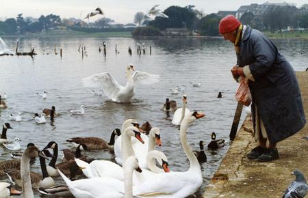 Goose lady, Poole Park 1980s. 