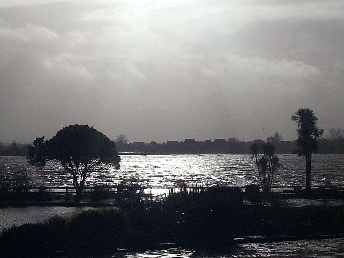 A windy day at Poole Park. Picture by Paula Hollanders