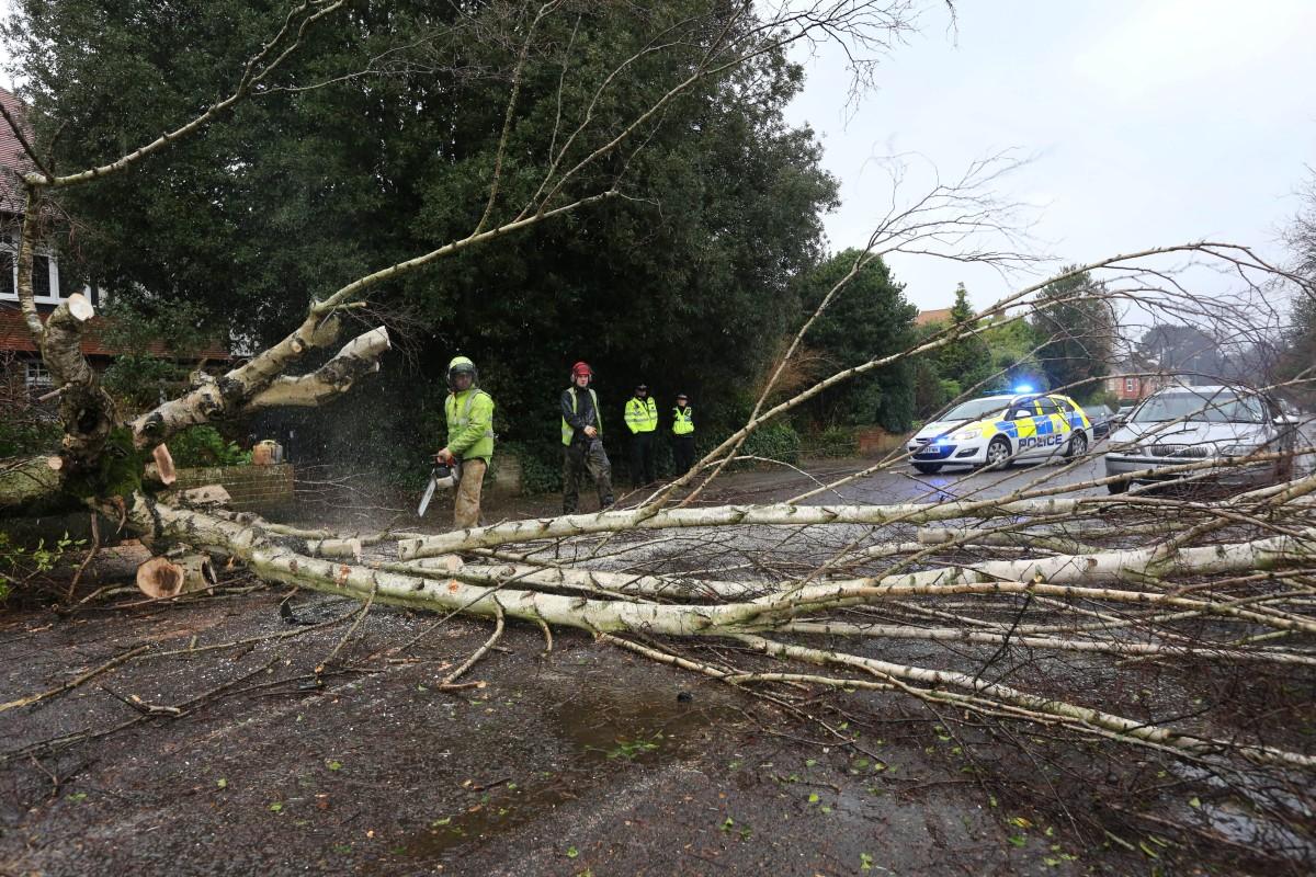 A fallen tree lands on an Asda delivery van in Lower Road in Charminster