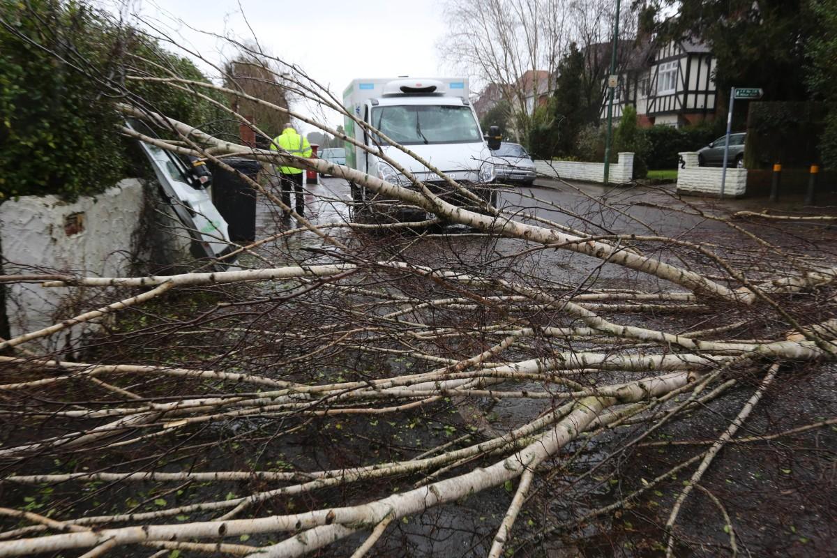 A fallen tree lands on an Asda delivery van in Lower Road in Charminster