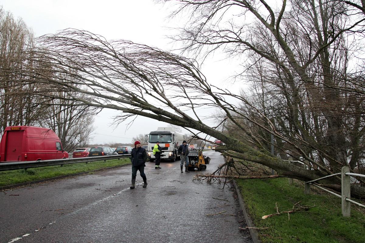 Christchurch bypass is shut heading into the town due to a fallen tree on the road.