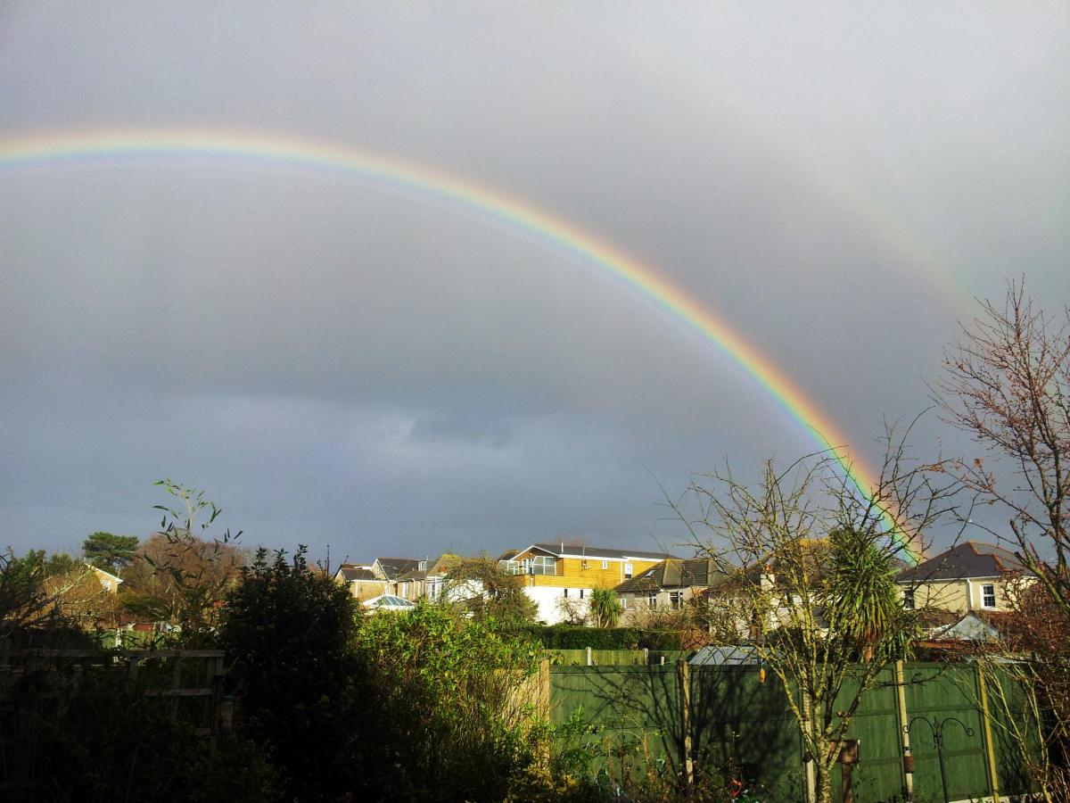 Find the pot of gold quickly before it is washed away in all the flood water! Picture by Jo Moran
