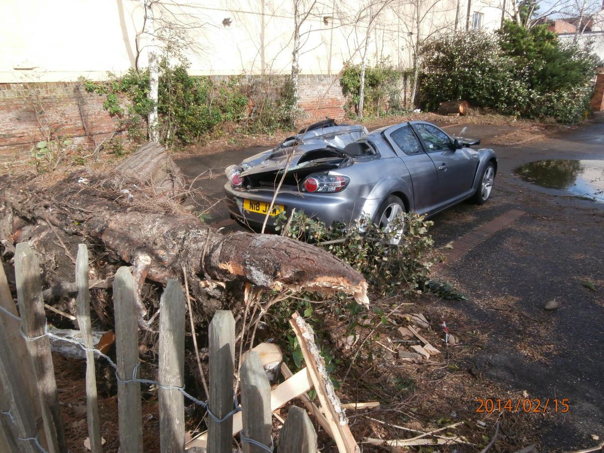 Daily Echo reader photos of the storm and damage left behind after severe weather swept through Dorset on February 14 and February 15. pic by Liz Carter of car damage in Christchurch
