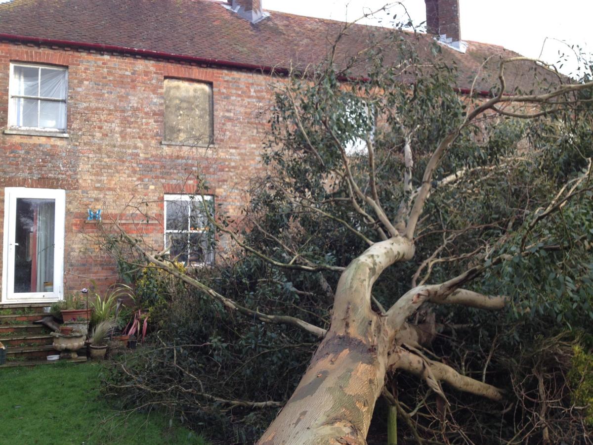 Daily Echo reader photos of the storm and damage left behind after severe weather swept through Dorset on February 14 and February 15. Picture by Michelle Luther
